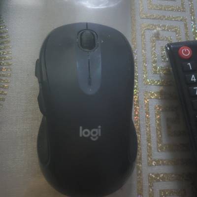 une souris