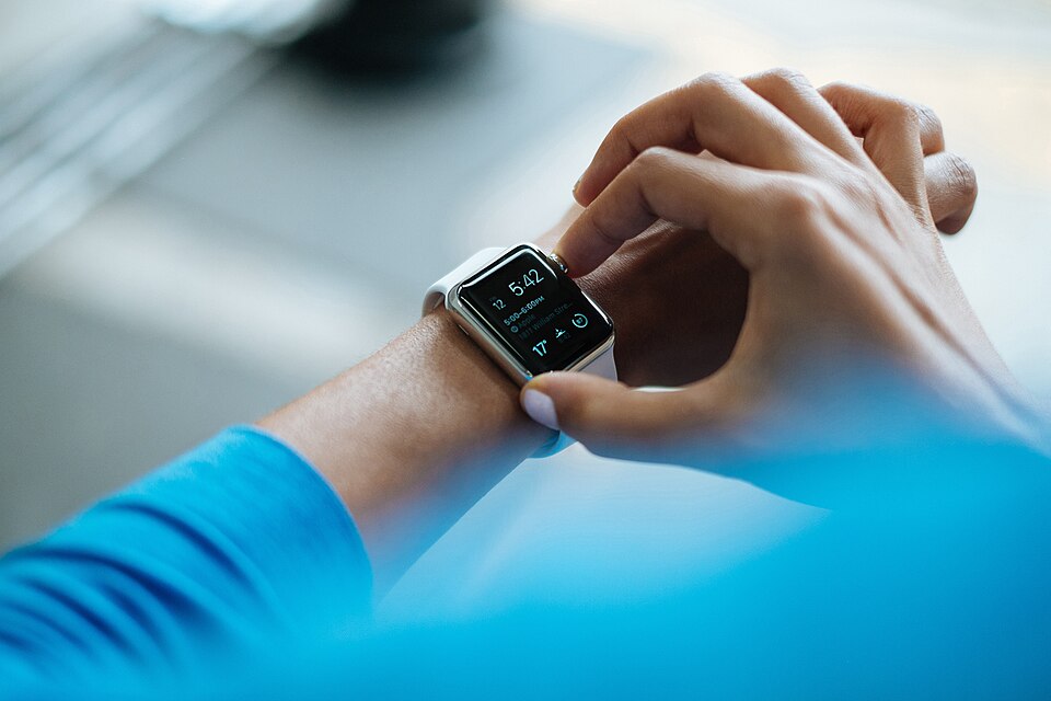 Apple Watch SE 44 mm — bracelet sport, bon état